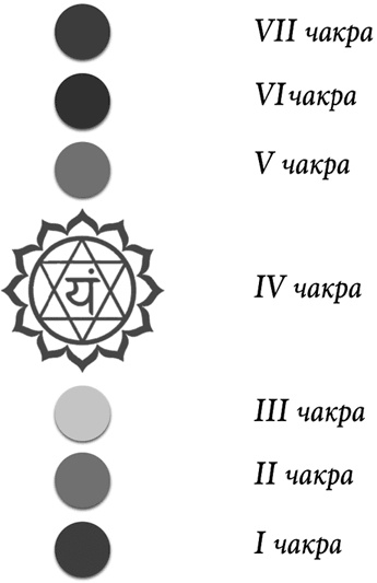 Иллюстрация к книге — Секреты восточной медицины. Чудо исцеления своими руками [i_094.jpg]
