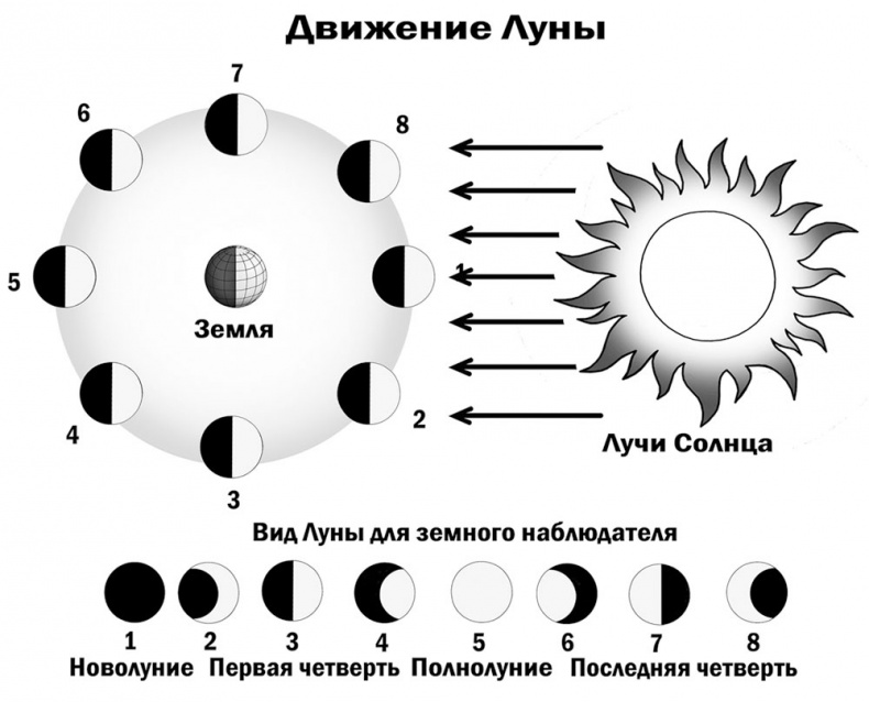 Иллюстрация к книге — Астрономия на пальцах. Для детей и родителей, которые хотят объяснять детям [i_006.jpg]