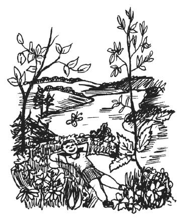 Иллюстрация к книге — Защити свое тело-4. Настроение здоровья [i_004.jpg]