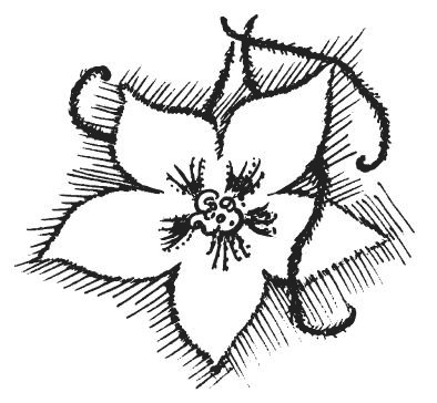 Иллюстрация к книге — Защити свое тело-4. Настроение здоровья [i_011.jpg]