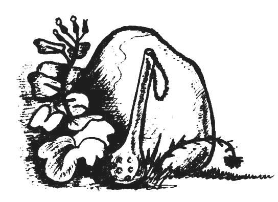 Иллюстрация к книге — Защити свое тело-4. Настроение здоровья [i_032.jpg]