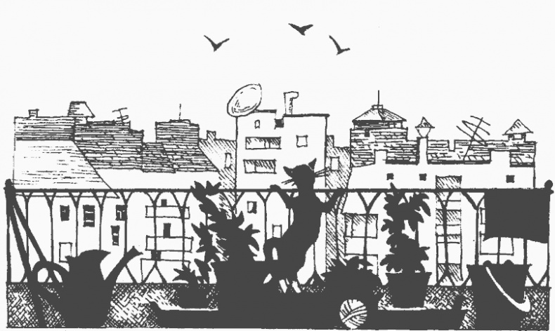 Иллюстрация к книге — Дневник Пети Васина и Васи Петина [w01.jpg]