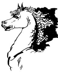 Иллюстрация к книге — Чудеса и тайны [i_012.jpg]