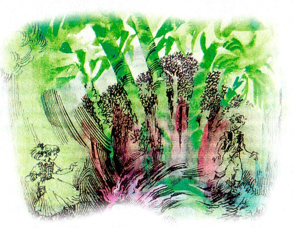 Иллюстрация к книге — Чудеса и тайны [i_028.jpg]