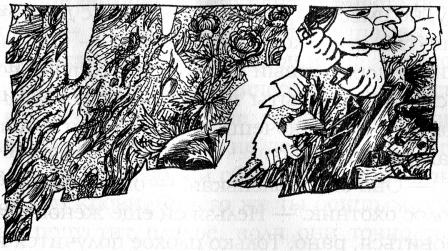 Иллюстрация к книге — Духи реки [picture026.jpg]