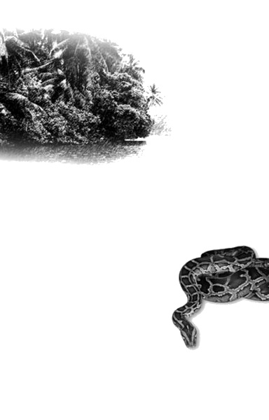 Иллюстрация к книге — Черный город [i_001.jpg]