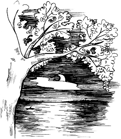 Иллюстрация к книге — Бунт Дениса Бушуева [_001.jpg]