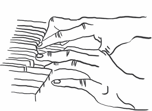 Иллюстрация к книге — Тайга [i_002.jpg]