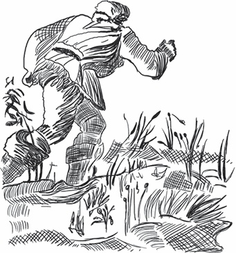 Иллюстрация к книге — Тайга [i_008.jpg]