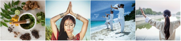 Иллюстрация к книге — Альтерфит. Восточная программа для женской красоты и полного очищения организма и души [image0_58f487c16ff3c1f861293e95_jpg.jpg]