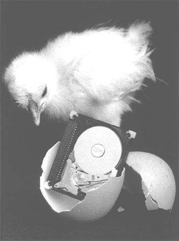 Иллюстрация к книге — Реклама. Принципы и практика [_188.jpg]