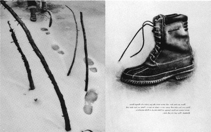 Иллюстрация к книге — Реклама. Принципы и практика [_193.jpg]