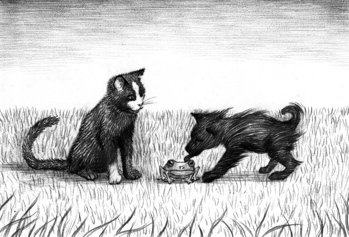 Иллюстрация к книге — Фамильяры. Книга 2. Загадки Короны [i_020.jpg]