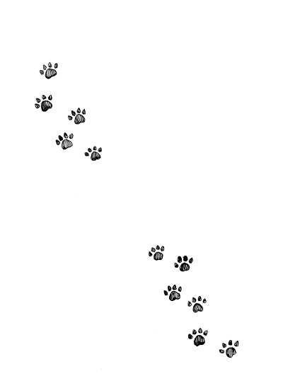 Иллюстрация к книге — Фамильяры. Книга 2. Загадки Короны [i_026.jpg]