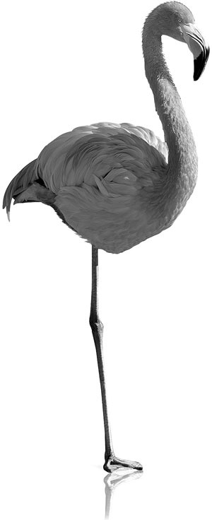 Иллюстрация к книге — Одностраничный маркетинговый план. Как найти новых клиентов, заработать больше денег и выделиться из толпы [_31.jpg]