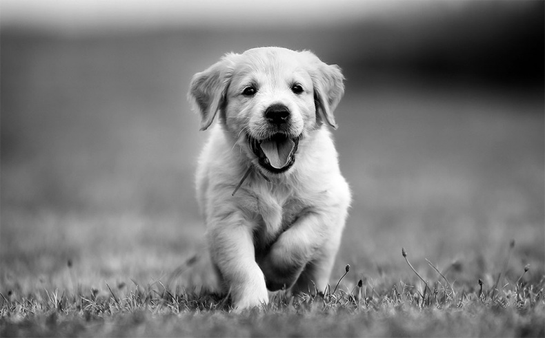 Иллюстрация к книге — Одностраничный маркетинговый план. Как найти новых клиентов, заработать больше денег и выделиться из толпы [_43.jpg]