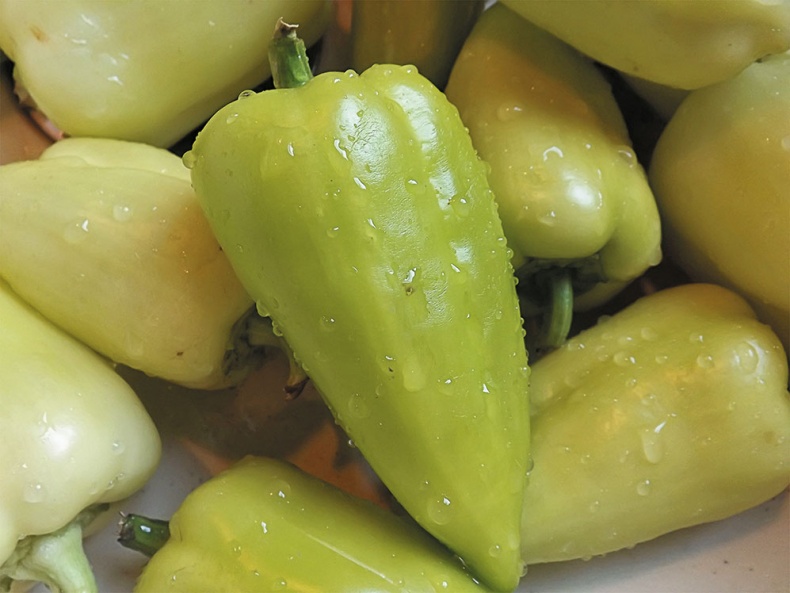 Иллюстрация к книге — (Не)Кулинарная книга. Писательская кухня на Бородинском поле [i_012.jpg]