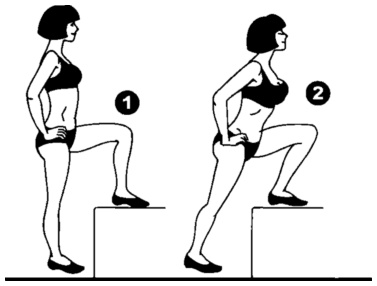 Иллюстрация к книге — Почки. Очищение и восстановление [i_006.jpg]