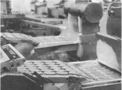 Иллюстрация к книге — McDonald's. О чем молчит БИГМАК? [i_026.jpg]