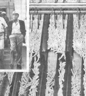 Иллюстрация к книге — McDonald's. О чем молчит БИГМАК? [i_028.jpg]