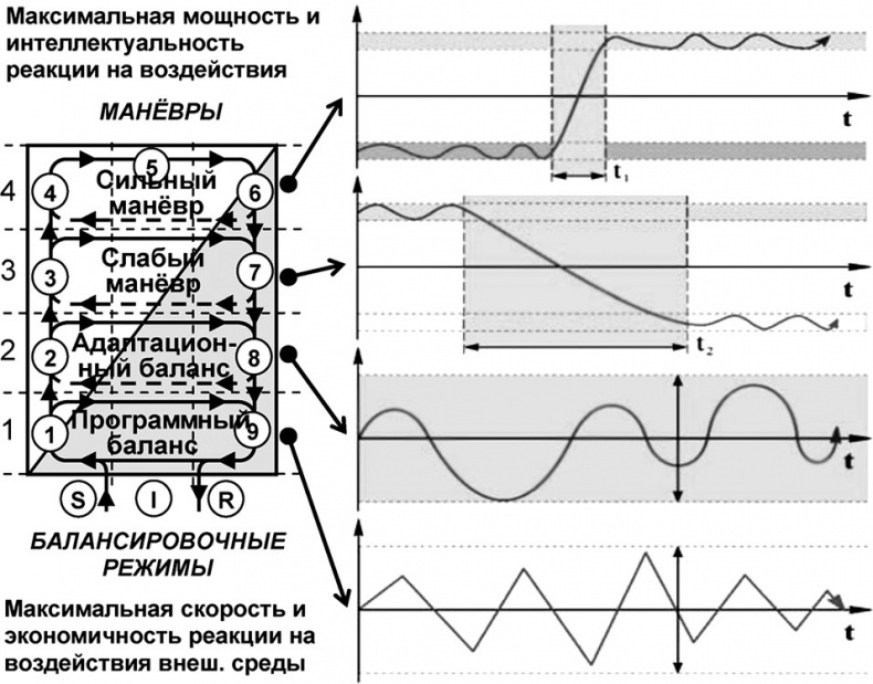 Иллюстрация к книге — Универсум. Общая теория управления [_175.jpg]