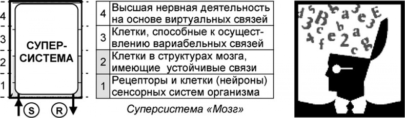 Иллюстрация к книге — Универсум. Общая теория управления [_75.jpg]