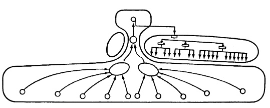 Иллюстрация к книге — Структура в кулаке. Создание эффективной организации [i_039.jpg]