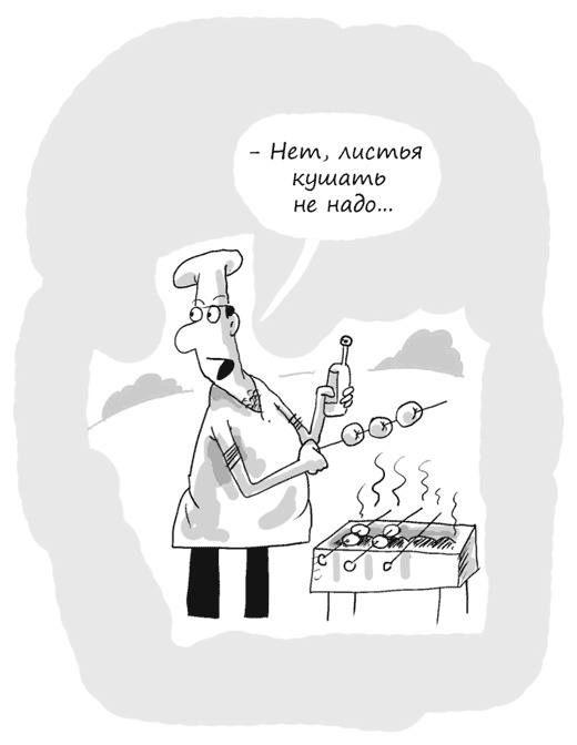 Иллюстрация к книге — Идея на миллион. 100 способов начать свое дело [i_073.jpg]