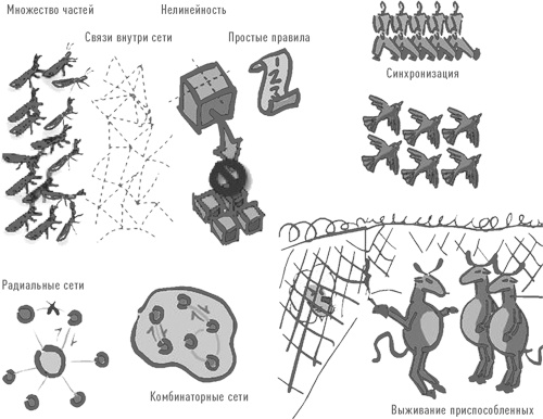 Иллюстрация к книге — Больше, чем вы знаете. Необычный взгляд на мир финансов [i_062.jpg]