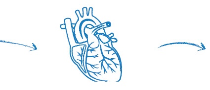 Иллюстрация к книге — Лаборатория презентаций: Формула идеального выступления [i_109.jpg]