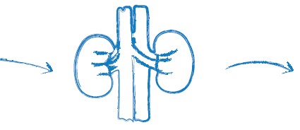 Иллюстрация к книге — Лаборатория презентаций: Формула идеального выступления [i_110.jpg]