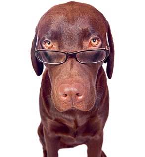 Иллюстрация к книге — Бери и делай! 77 максимально полезных инструментов маркетинга [i_005.jpg]