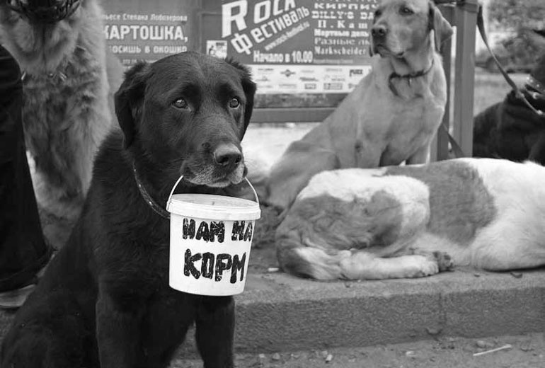 Иллюстрация к книге — Фотография как бизнес: с чего начать, как преуспеть [i_007.jpg]