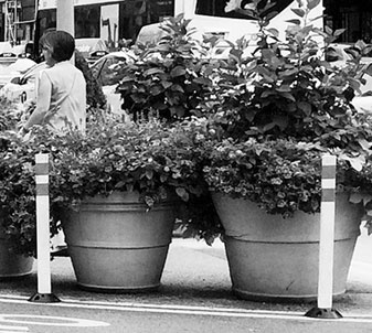 Иллюстрация к книге — Битва за города. Как изменить наши улицы. Революционные идеи в градостроении [i_007.jpg]