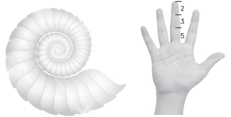 Иллюстрация к книге — Scrum. Революционный метод управления проектами [i_005.jpg]