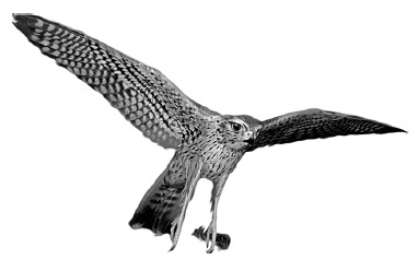 Иллюстрация к книге — Визуализируй это! Как использовать графику, стикеры и интеллект-карты для командной работы [i_080.jpg]