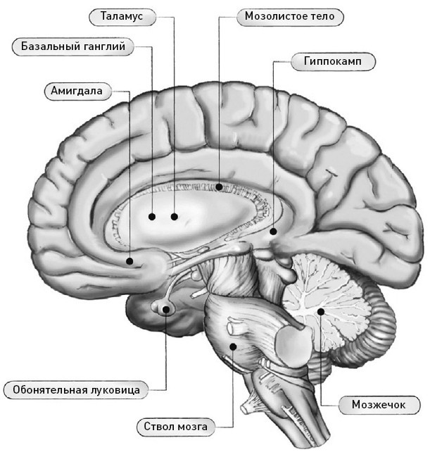 Иллюстрация к книге — Мастерство ритейл-брендинга [i_011.jpg]