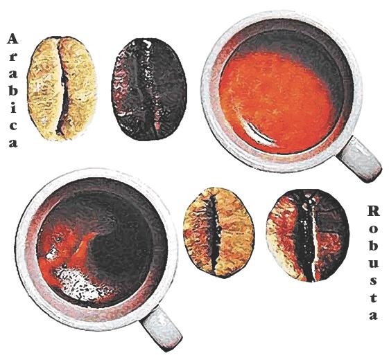 Иллюстрация к книге — Кофейня. С чего начать, как преуспеть [i_041.jpg]