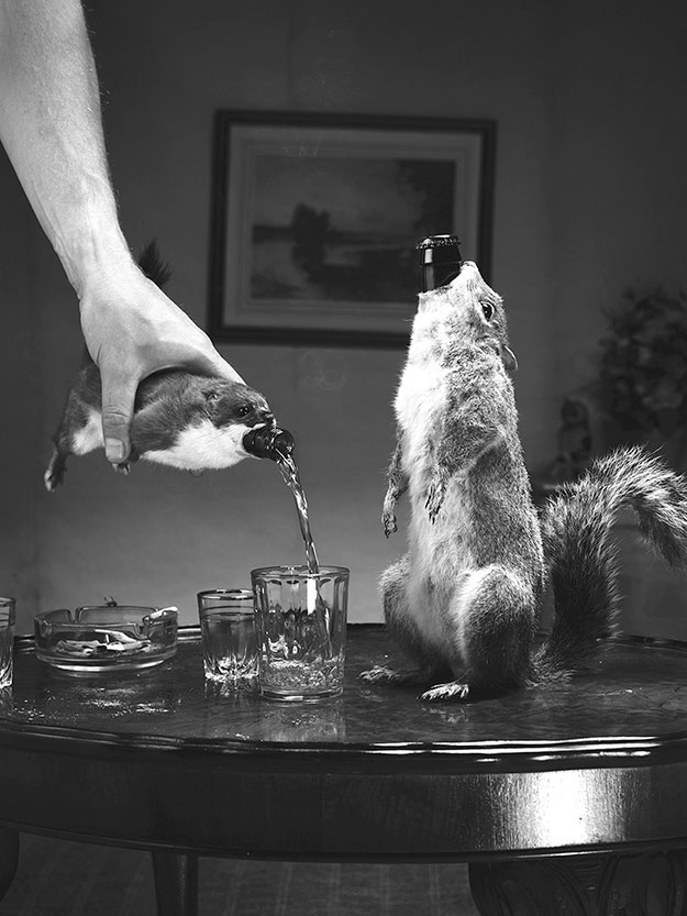 Иллюстрация к книге — Бизнес для панков: Наплюйте на все правила по примеру BrewDog [i_015.jpg]