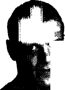 Иллюстрация к книге — Как работать по 4 часа в неделю и при этом не торчать в офисе &quot;от звонка до звонка&quot;, жить где угодно и богатеть [pic_5.jpg]