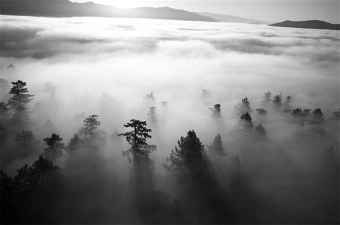 Иллюстрация к книге — Прорывные экономики. В поисках следующего экономического чуда [pic01.jpg]