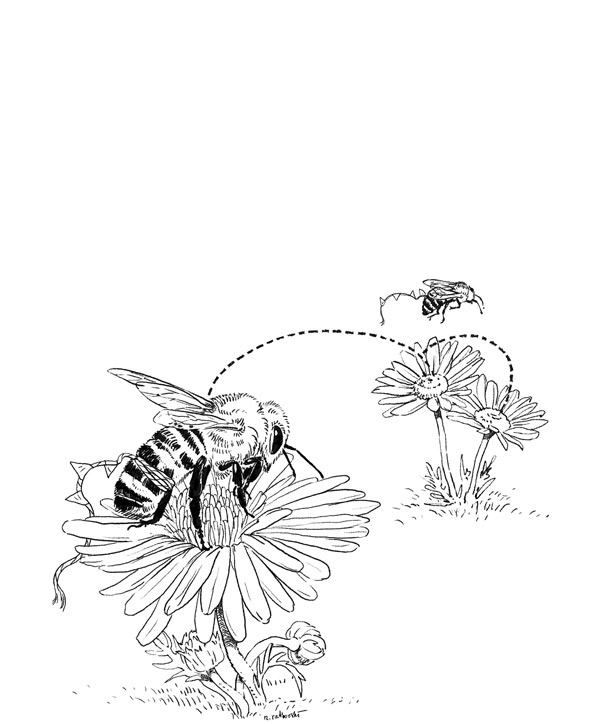 Иллюстрация к книге — Отказываюсь выбирать! Как использовать свои интересы, увлечения и хобби, чтобы построить жизнь и карьеру своей мечты [i_001.jpg]