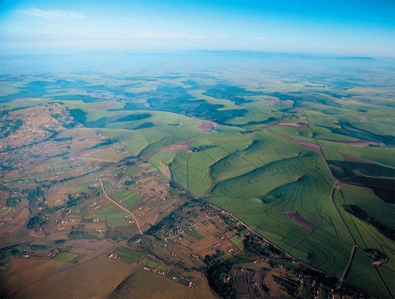 Иллюстрация к книге — Почему одни страны богатые, а другие бедные. Происхождение власти, процветания и нищеты [_39.jpg]