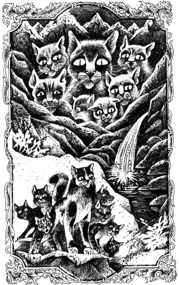 Иллюстрация к книге — Солнечный путь [pic_1.jpg]