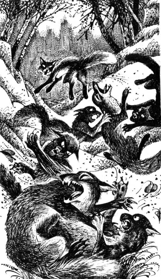 Иллюстрация к книге — Солнечный путь [pic_11.jpg]