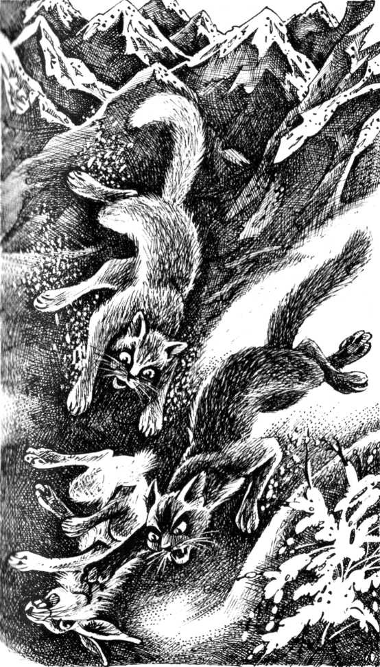 Иллюстрация к книге — Солнечный путь [pic_3.jpg]