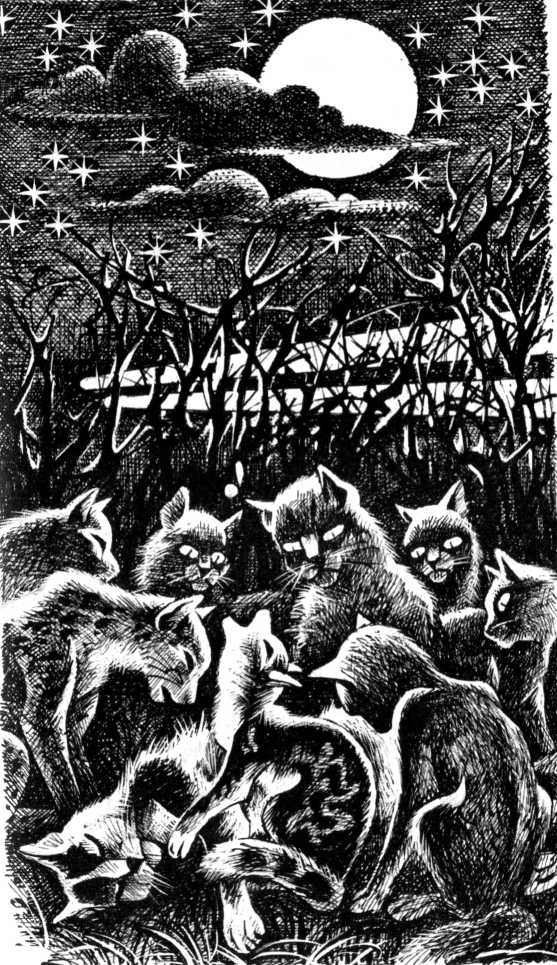 Иллюстрация к книге — Солнечный путь [pic_9.jpg]