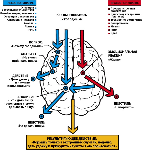 Иллюстрация к книге — Как заработать миллиард, или Интеллектуальный капитал предпринимателя [_131.jpg]