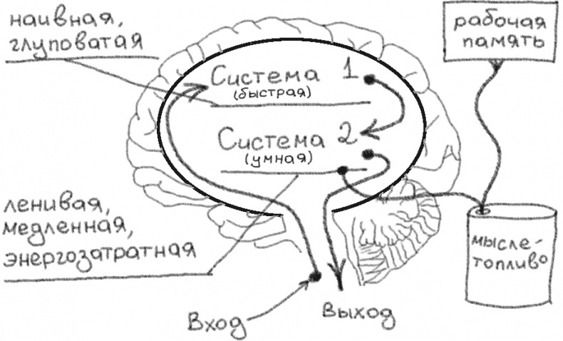 Иллюстрация к книге — Джедайские техники. Как воспитать свою обезьяну, опустошить инбокс и сберечь мыслетопливо [i_004.jpg]