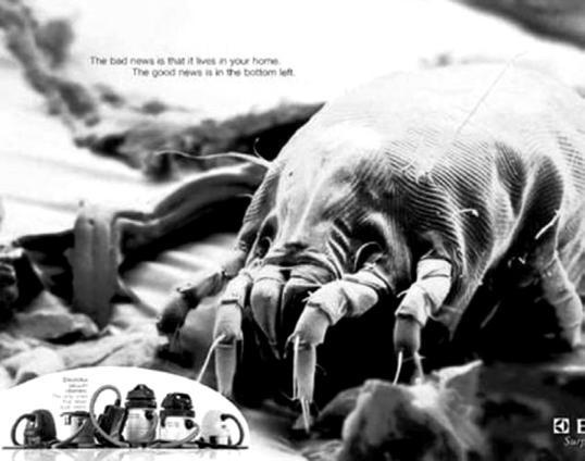 Иллюстрация к книге — Зависть и другие вечные двигатели рекламы [_034.jpg]